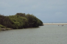 Imagen Playa y manglar